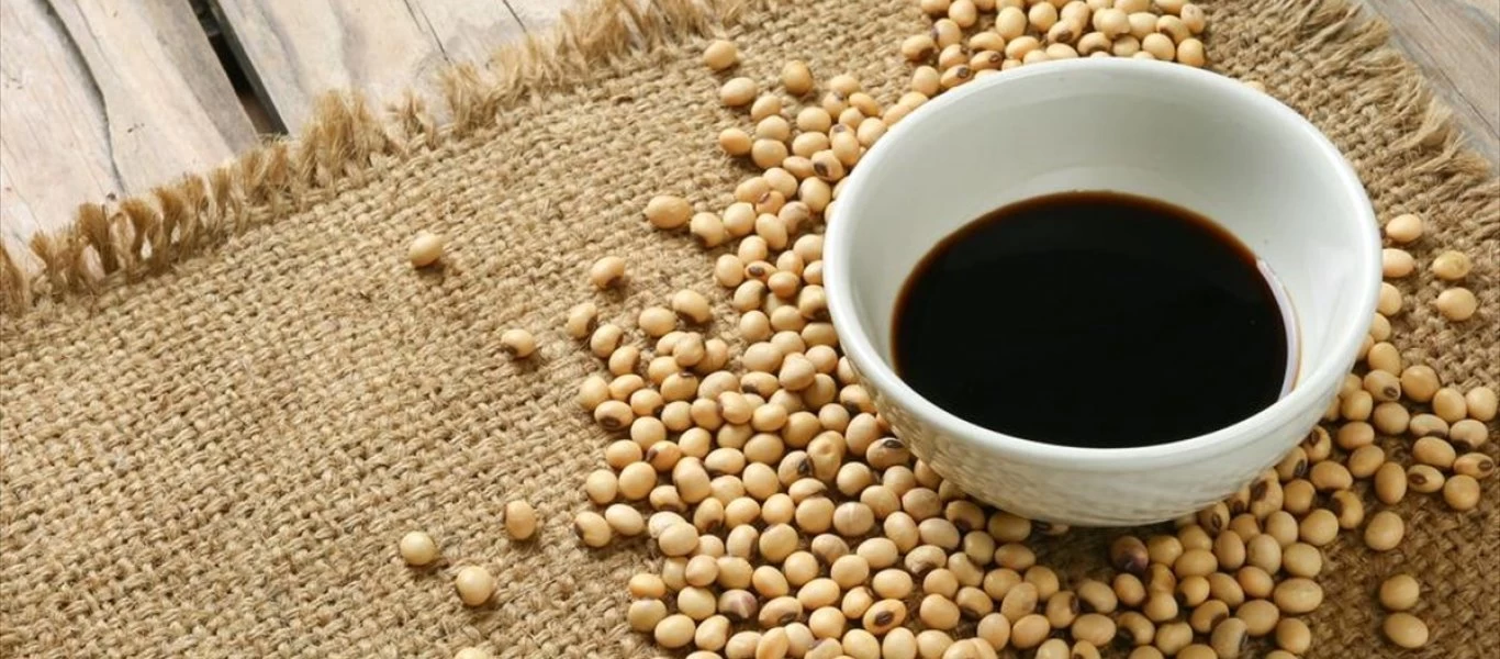 Σόγια: Όλα όσα πρέπει να γνωρίζετε για τη διατροφική της αξία